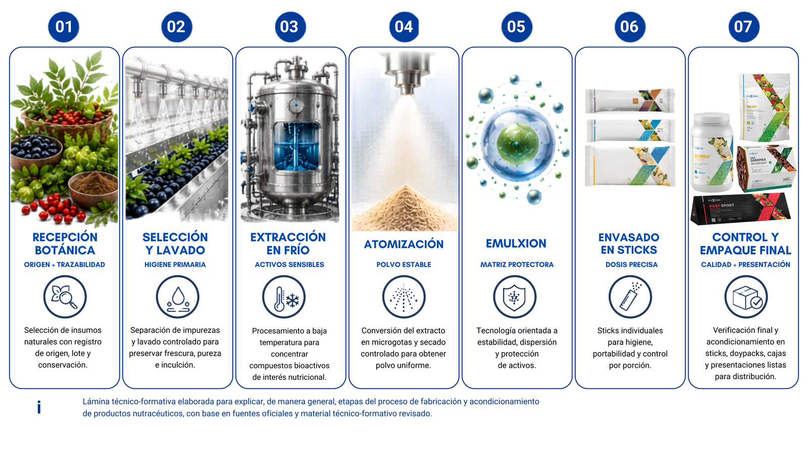 Infografía técnico-formativa de las 7 etapas del proceso de elaboración FuXion: recepción botánica, selección y lavado, extracción en frío, atomización, tecnología EMULXION, envasado en sticks y control de calidad y empaque final.