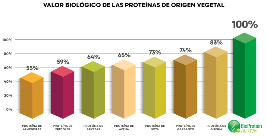 Valor biológico de las proteínas de origen vegetal — BioProtein Active alcanza 100%