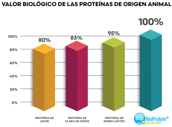 Valor biológico de las proteínas de origen animal — BioProtein+ Colostrum alcanza 100%