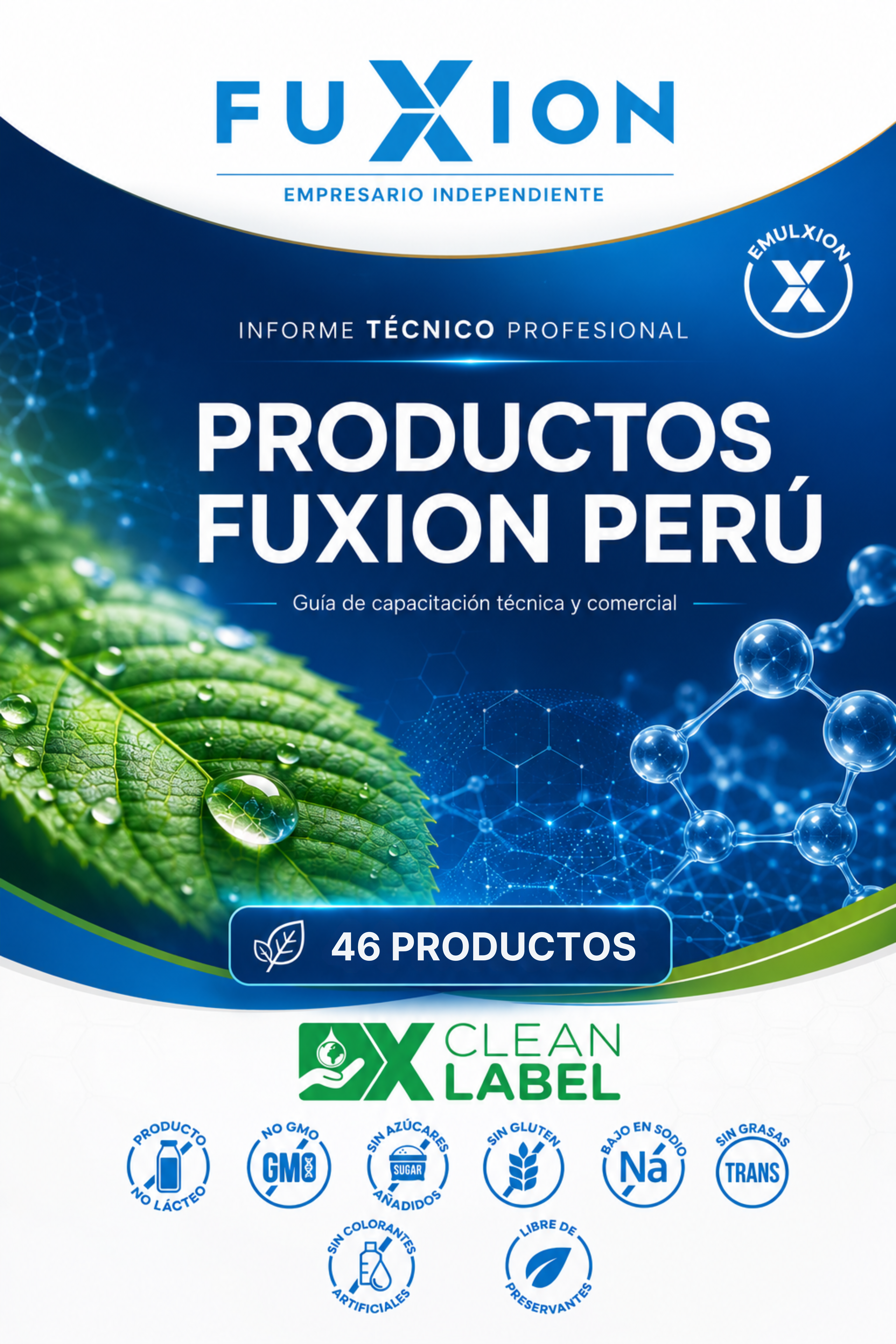 Portada del Informe Técnico FuXion Perú · Volumen 41